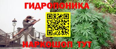 PSILOCYBIN Аргун