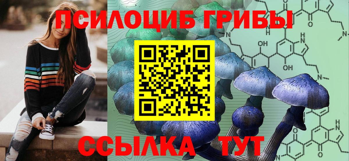 Галлюциногенные грибы GOLDEN TEACHER Верхняя Салда